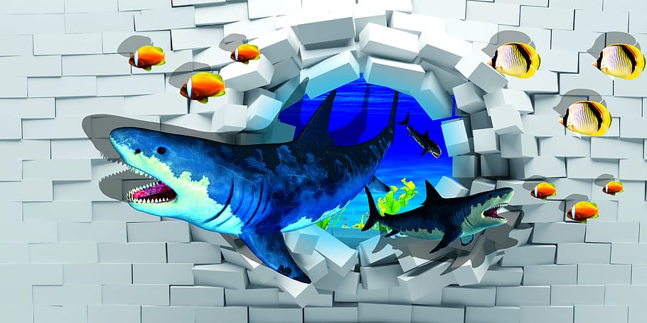 wall, tiles, fish, shark, blue, creativity, multi colored, representation HD wallpaper