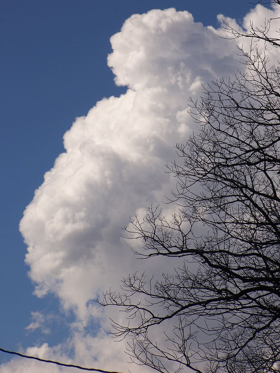 cloud, white, weather, nature, fluffy, bright, cumulus, outdoor HD wallpaper