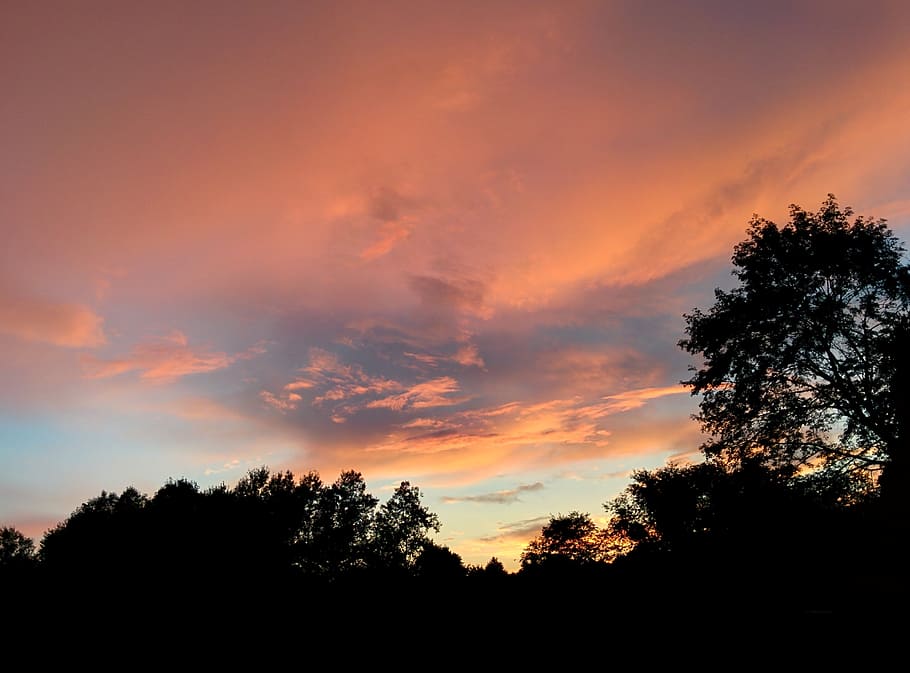 clouds, sky, sunset, sunrise, trees, silhouette, plant, beauty in nature HD wallpaper