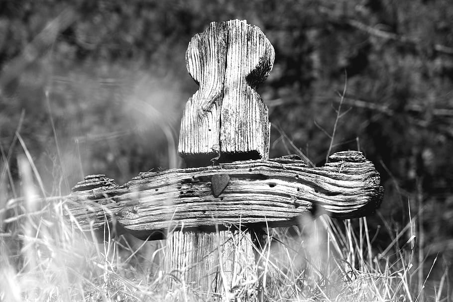 grayscale photography of wooden cross on grass field, cemetery, HD wallpaper