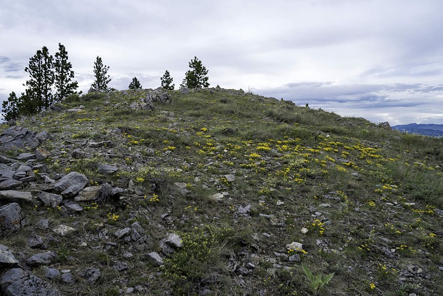Landscape at the top of Mount Helena, grass, landscapes, montana