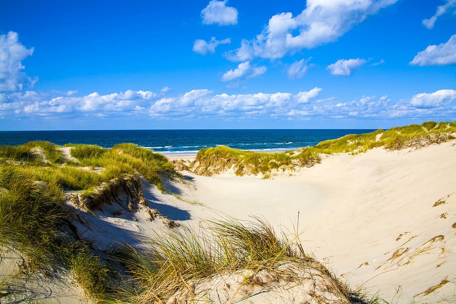 seashore and sea under blue sky, Dune, Sea, Clouds, North Sea HD wallpaper