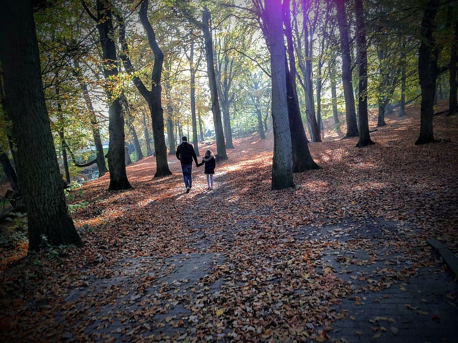 man and girl walking on forest during daytime, autumn, trees HD wallpaper