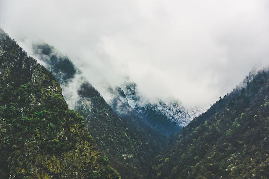 landscape photo of mountain alps, fog, hills, forest, trees HD wallpaper