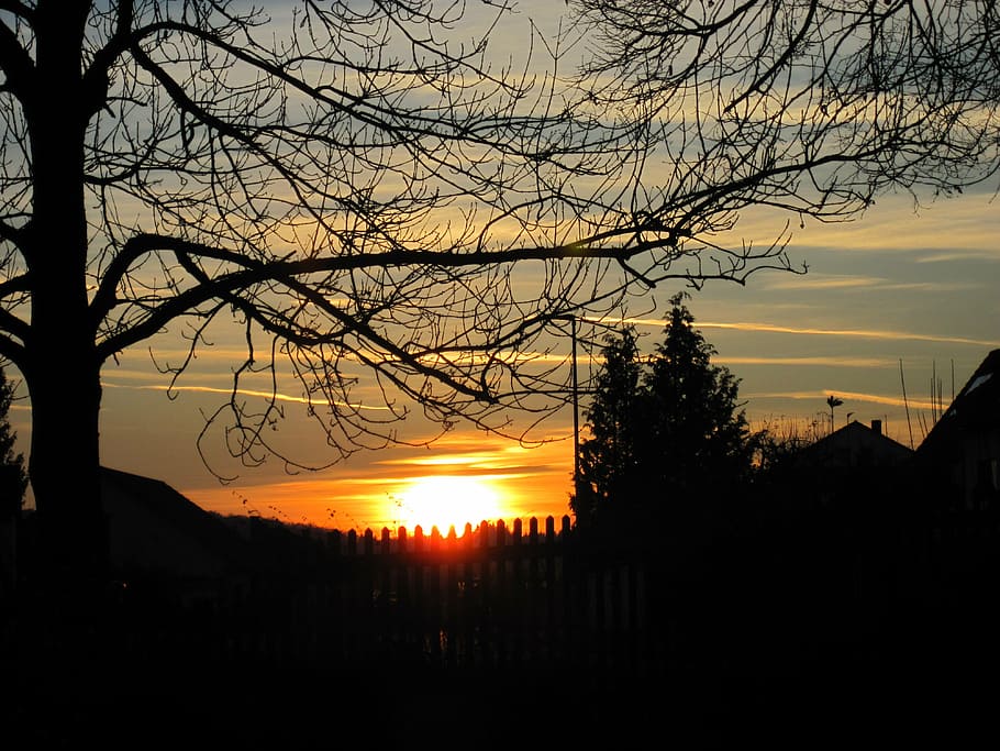 sunset, tree, fence, twilight, silhouette, clouds, abendstimmung HD wallpaper