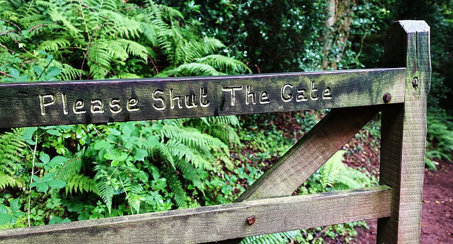 shut, gate, open, message, security, password, hack, protect HD wallpaper