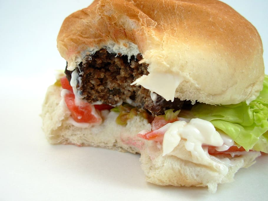 burger with vegetable sandwich, hamburger, meat, junk food, fast, HD wallpaper