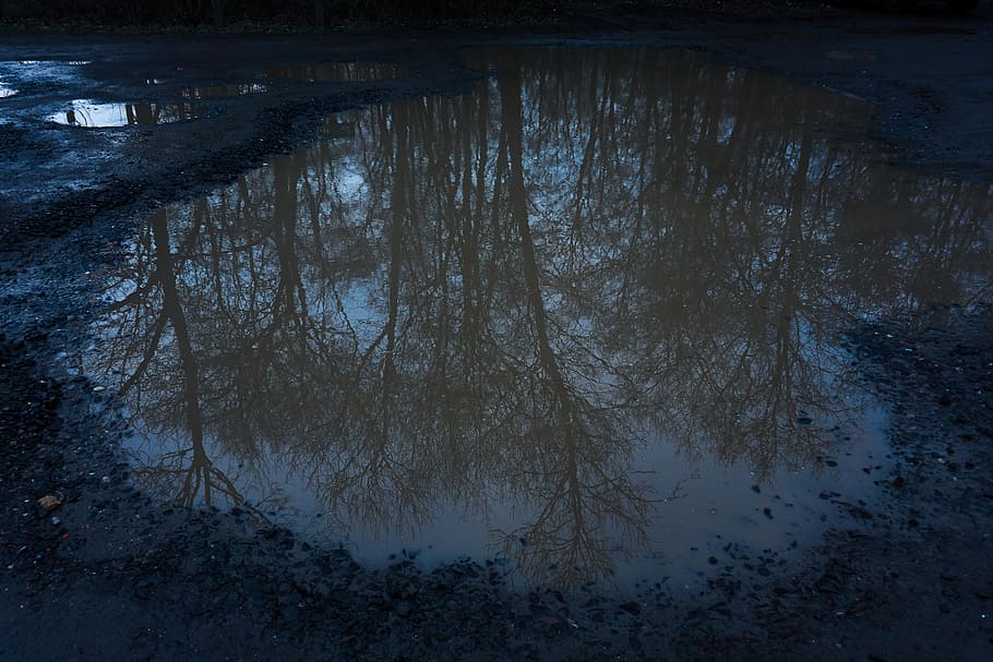 background, darkness, texture, nature, tree, waters, reflection HD wallpaper