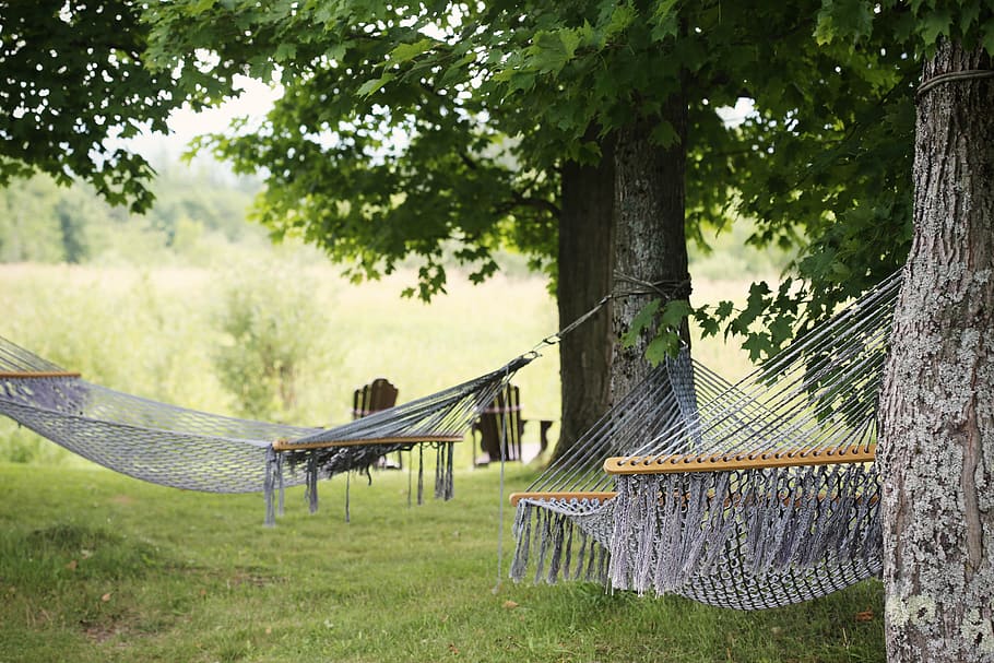 photography two grey hammocks during daytime, trees, summer HD wallpaper