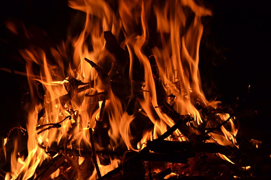 photography of burning fire, wood, forest, nature, orange, black HD wallpaper