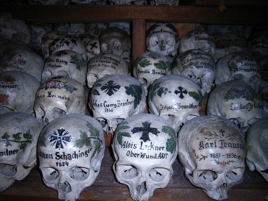 skull, skull and crossbones, weird, death, skull bone, head HD wallpaper