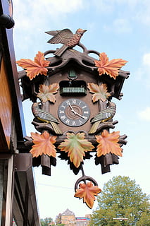 cuckoo clock, shield, advertising watchmaker, time, outdoor HD wallpaper