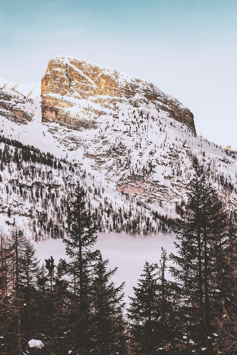landscape photography of mountain coated snow, snow covered mountain near trees HD wallpaper