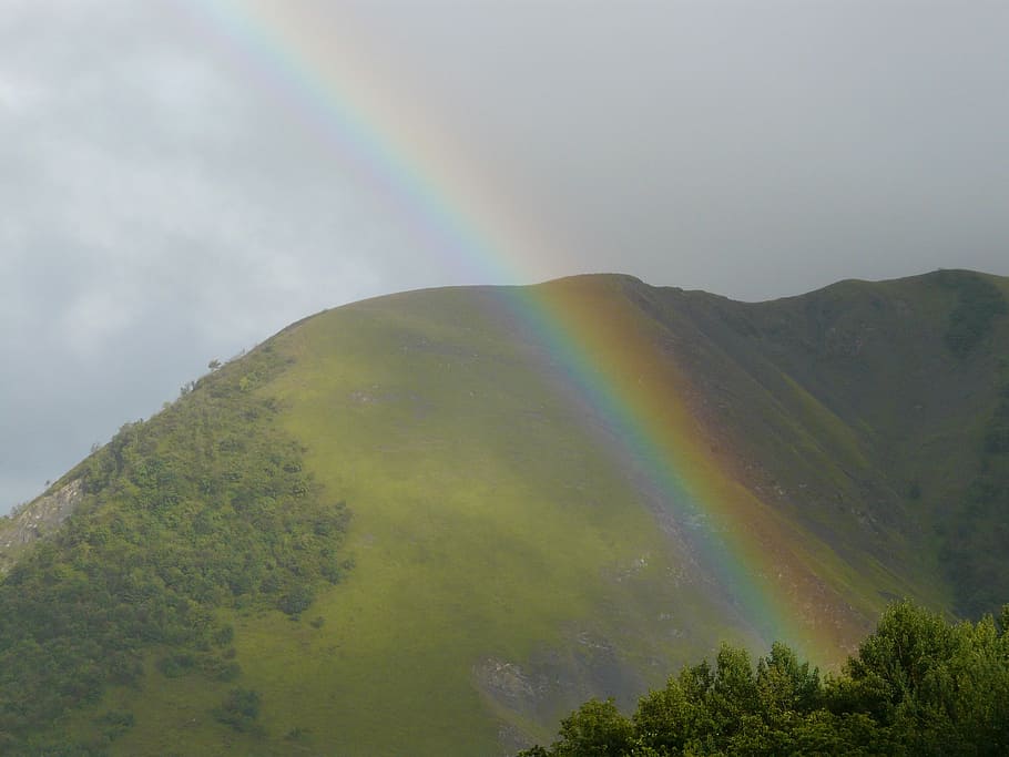 rainbow, mountain, alps, nature, landscape, forest, fog, scenics HD wallpaper