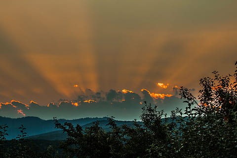 sky, sunset, priroda, beauty in nature, tree, cloud - sky, mountain HD wallpaper
