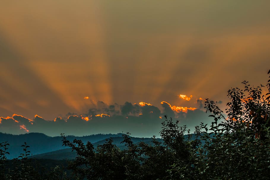 sky, sunset, priroda, beauty in nature, tree, cloud - sky, mountain HD wallpaper
