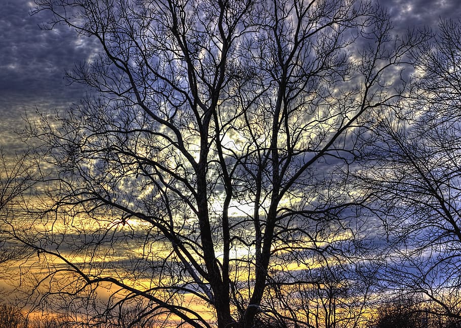 scenery, sunset, trees, artistic, art print, digital art, colorful HD wallpaper