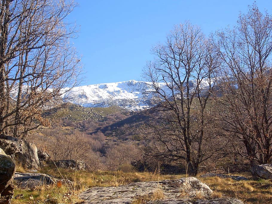 landscape, snow, nature, winter, mountain, mountain landscape HD wallpaper