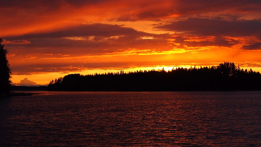 silhouette trees photo during sunset, midsummer, lake, orange HD wallpaper