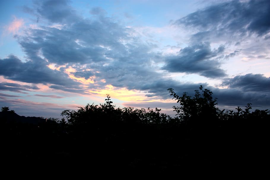 Landscape, Sunset, Scenic, Clouds, sky, cloud - sky, silhouette HD wallpaper
