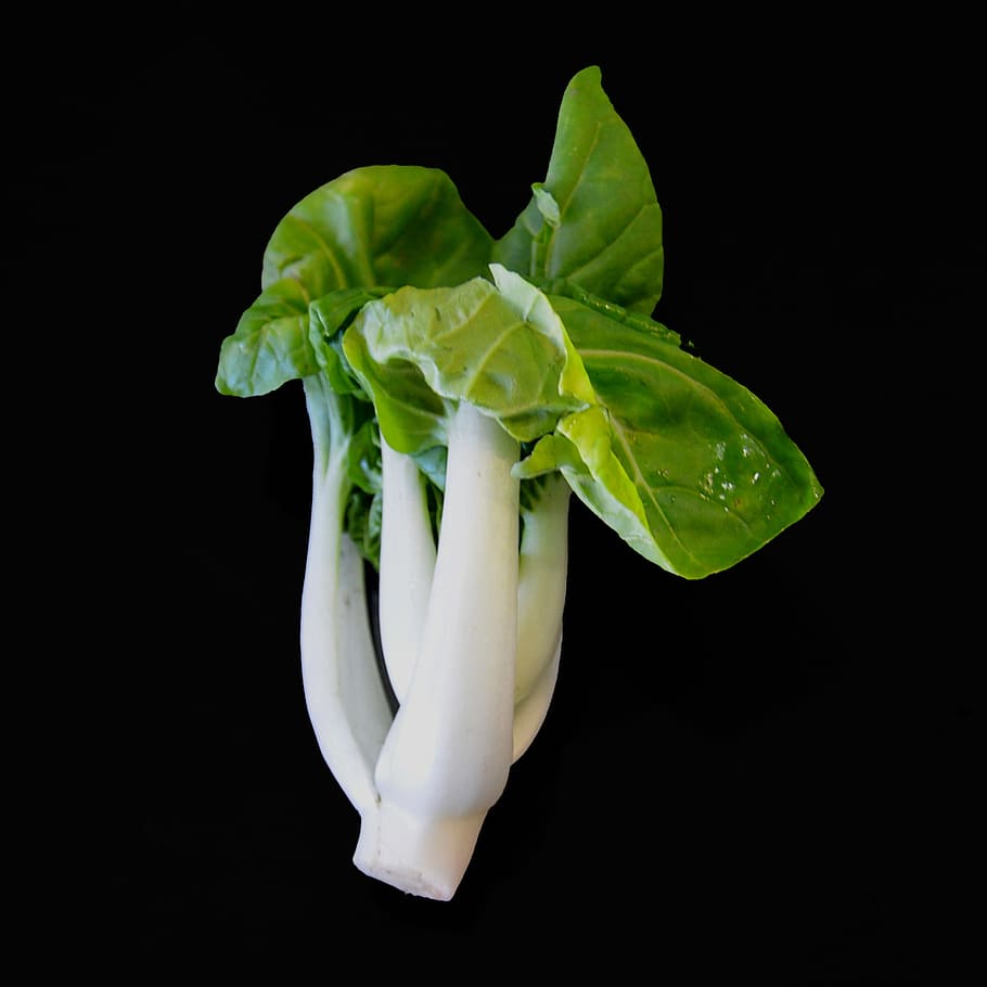 Pak Choi, Chinese Mustard, Cabbage, Kohl, chinese mustard cabbage HD wallpaper
