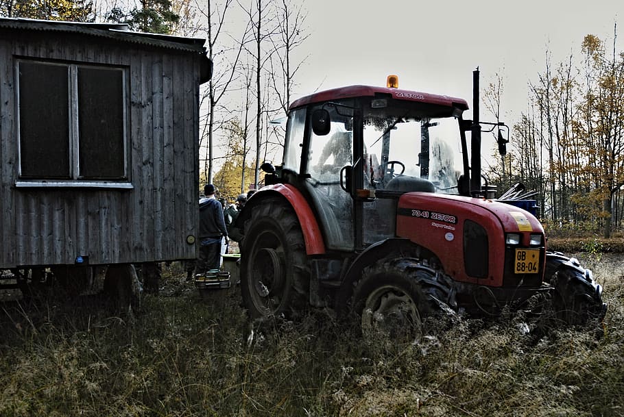 Harvesting, Tractor, Forest, Apiary, window, grass, pond, autumn HD wallpaper