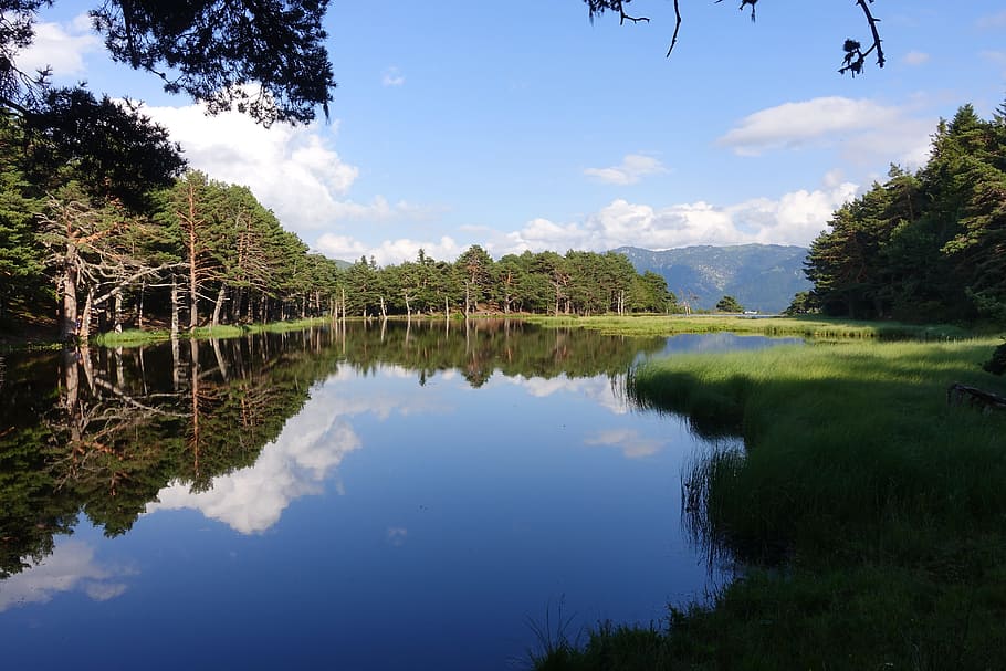 pyrenees, lake, landscape, reflection, water, plant, sky, tree HD wallpaper