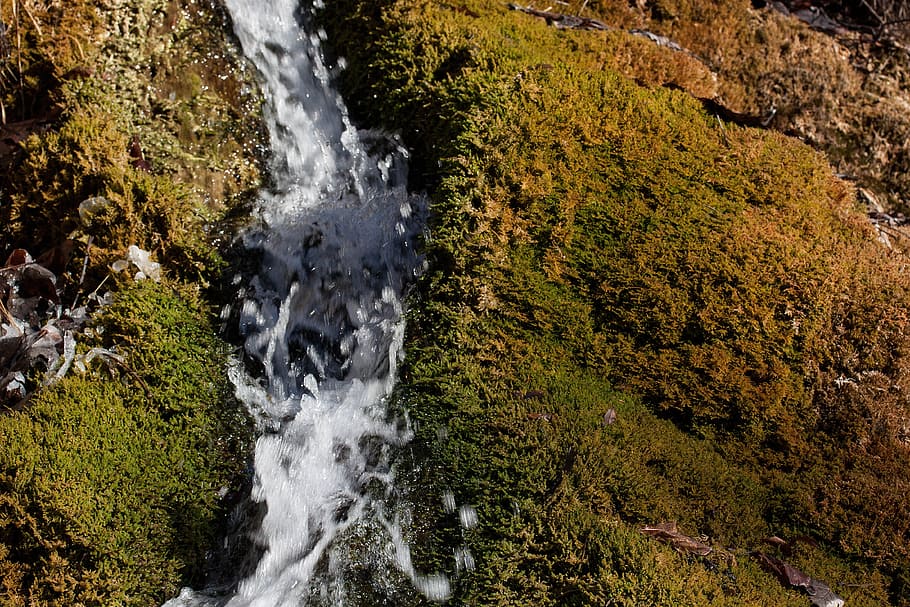 source, bach, water, bubble, idyll, moss, green, nature, spring HD wallpaper