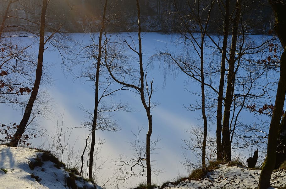 Wintry, Lake, geforener lake, winter forest, snow, cold temperature HD wallpaper