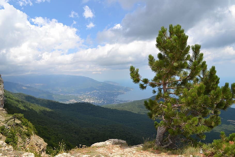 landscape, sky, cloud, tree, horizon, outdoor, yalta, nature HD wallpaper