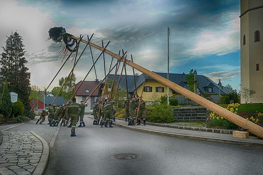 maypole, establish, setting up, tree mai, tradition, need old HD wallpaper