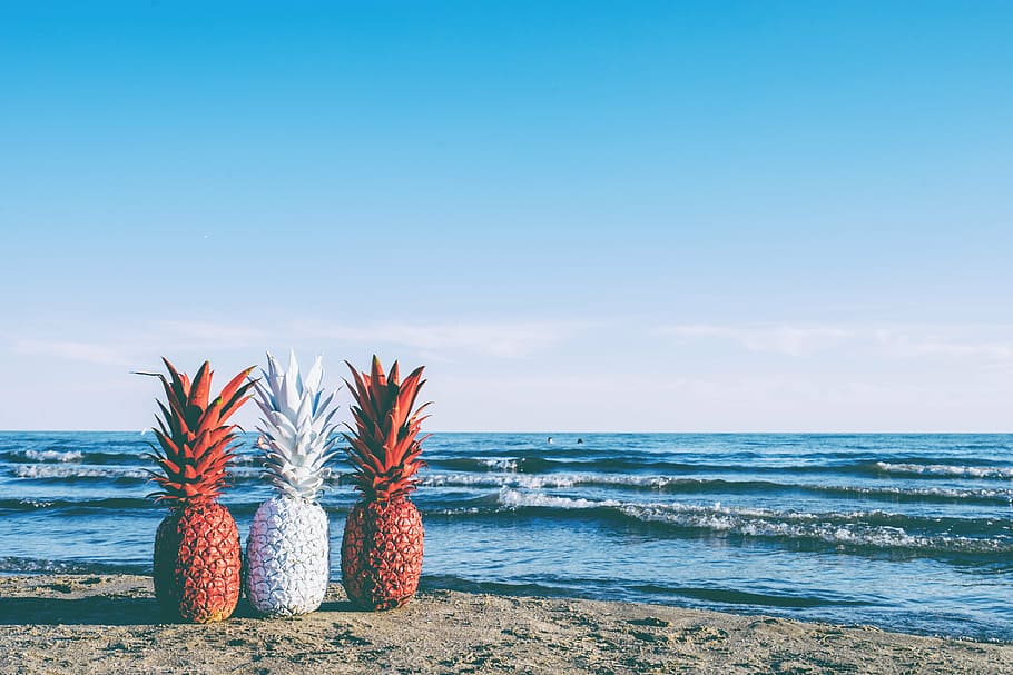 three red and white pineapples near sea, sunset, fruit, beach HD wallpaper