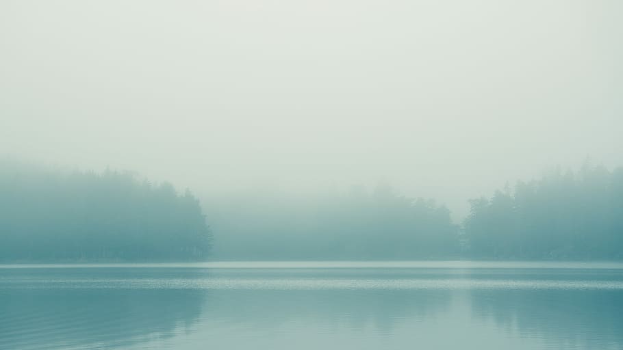 body of water and pine trees, lake, mist, fog, cloud, tranquility HD wallpaper