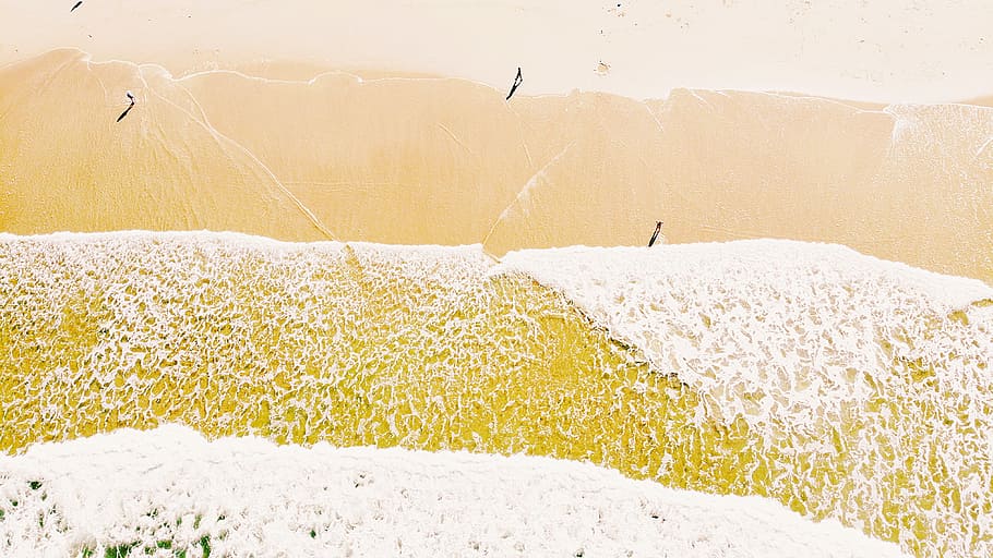 landscape photography of white flowers field, waves, sand, people HD wallpaper