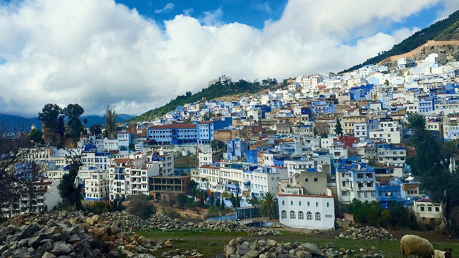 white-and-blue buildings ahead, chefchaouen, morocco, blue city