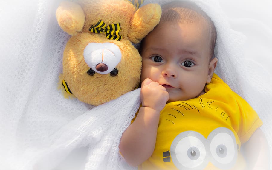 son, teddy bear, art, animals, babe, small, baby, toy, young HD wallpaper