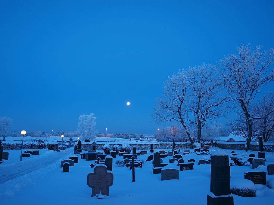 Winter, Cemetery, Snow, Night, cold temperature, weather, blue HD wallpaper