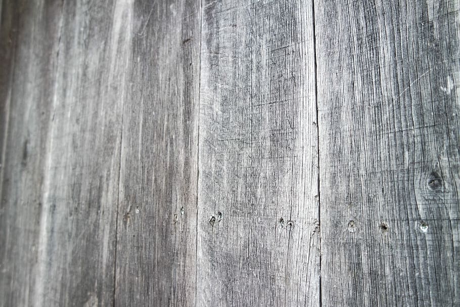 Wood, Treehouse, backgrounds, textured, wood - material, pattern HD wallpaper
