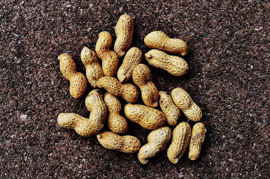 Peanuts, Shell, Food, Delicious, nutrition, knabberzeug, eat HD wallpaper