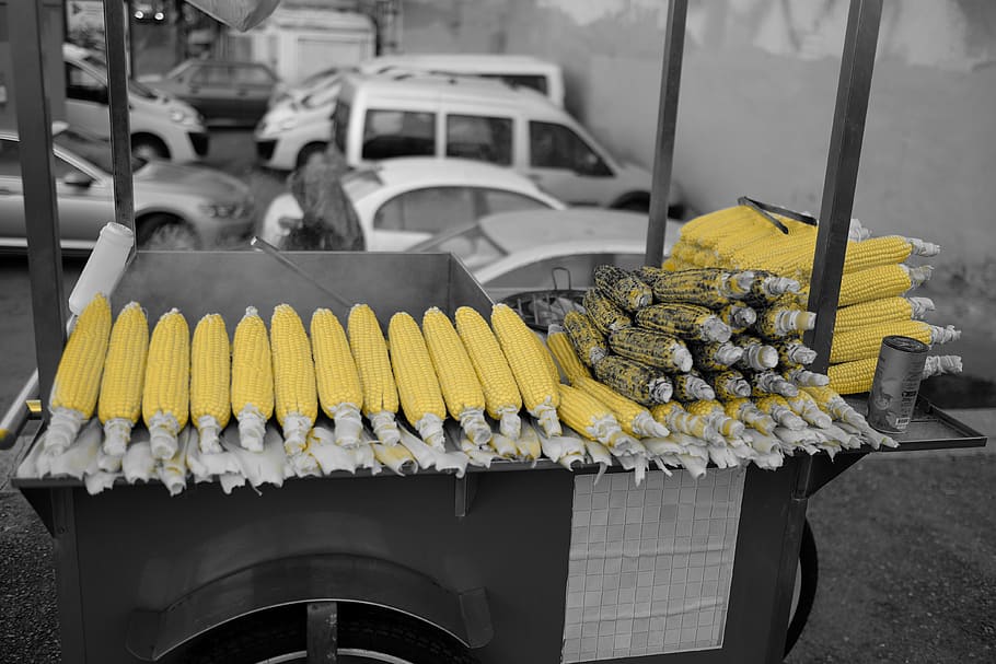 yellow, city, egypt, food and drink, freshness, healthy eating HD wallpaper