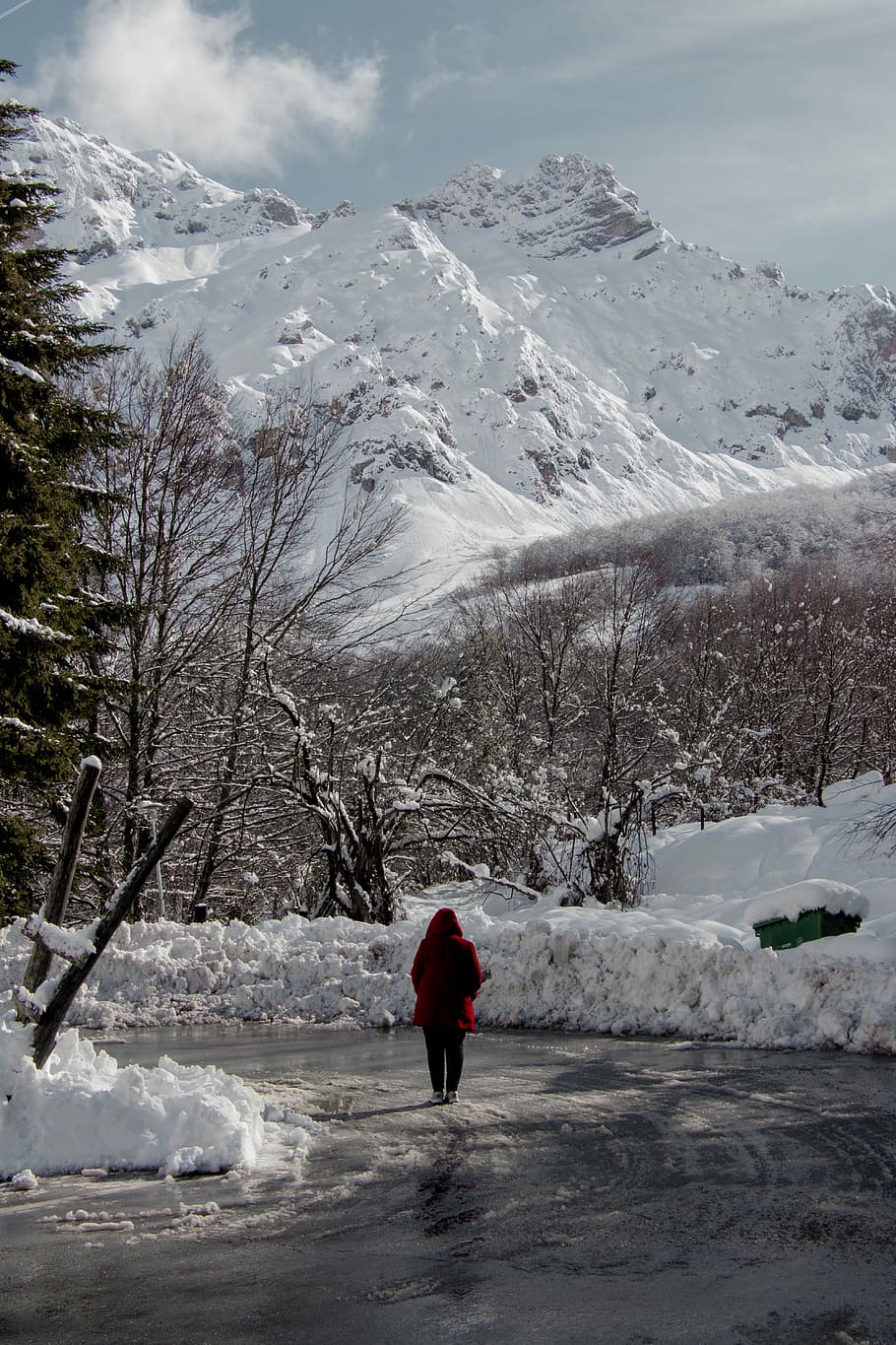woman standing on road near snowy forest, person walking near snow-capped mountain at daytime HD wallpaper