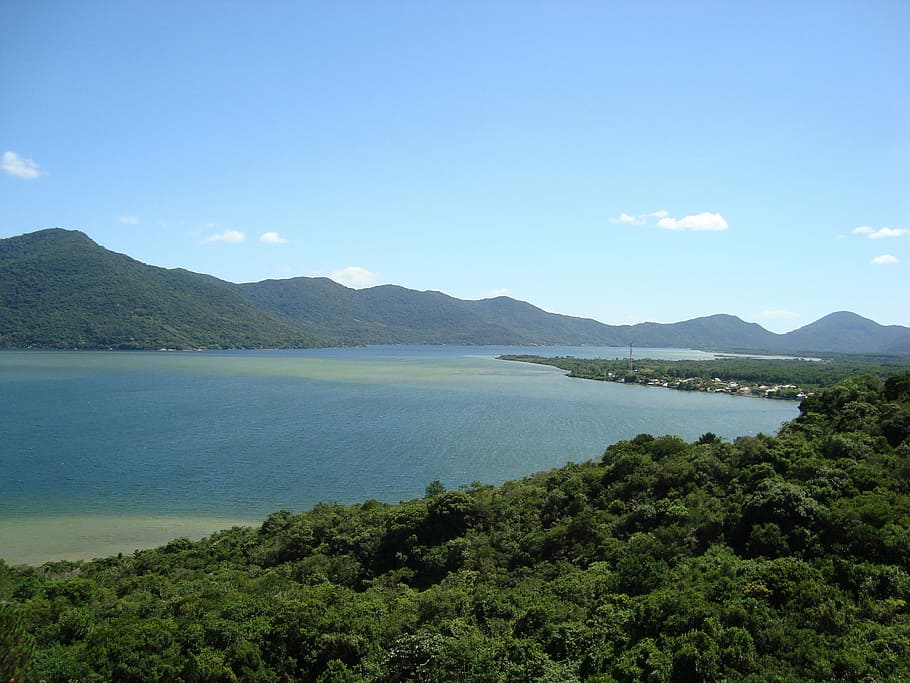 brazil, mar, forest, scenics - nature, mountain, water, sky HD wallpaper