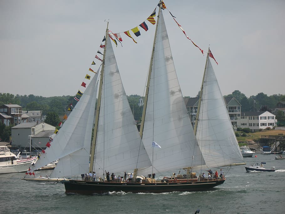 sail, ship, sailing, nautical, three mast, schooner, maritime HD wallpaper
