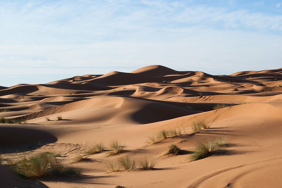 photo of desert during daytime, dunes, sand, sand Dune, nature HD wallpaper