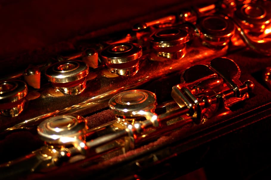 Flute, Disassembled, Box, folding mechanism, ring valve, close-up, HD wallpaper