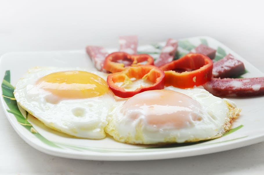 fried egg with tomatoes in plate, omelette, breakfast, dish HD wallpaper