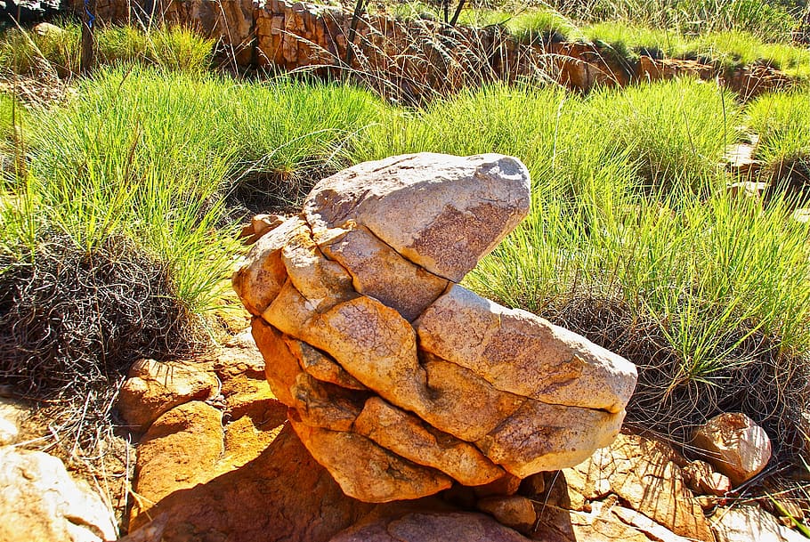 rock, structure, nature, material, stone, solid, boulder, plant HD wallpaper