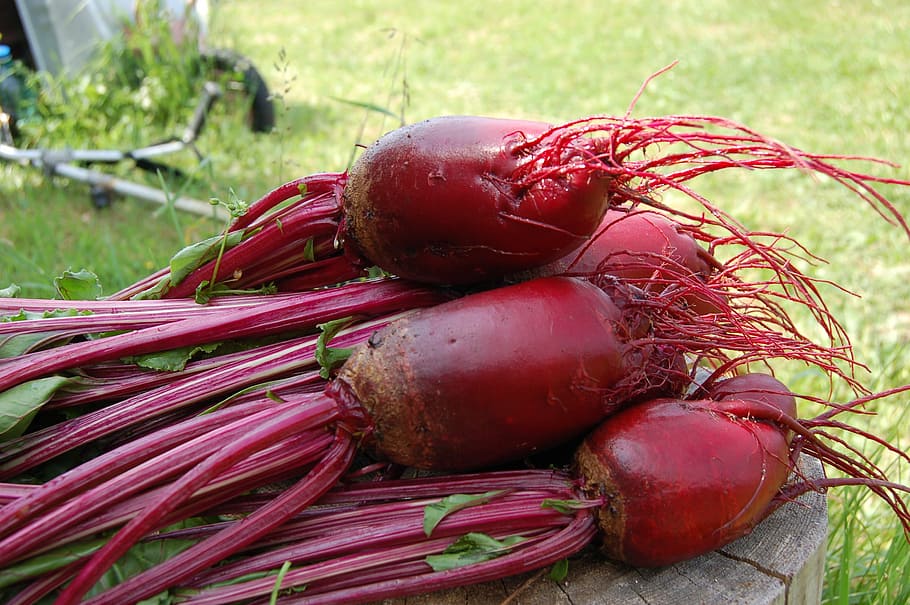 pile of red fruits, beet, plant, vegetable, from the garden HD wallpaper
