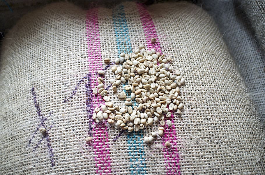 Coffee, Beans, Raw, Arabica, unroasted, fresh, colombia, cafe HD wallpaper