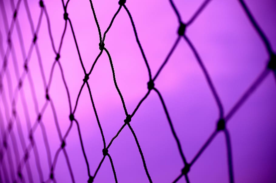 wire, abstract, fence, net, mesh, full frame, backgrounds, purple HD wallpaper